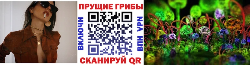 Псилоцибиновые грибы прущие грибы  Купить  Тейково 